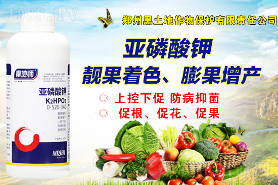 2021-10-12�������@�r���Ј��������