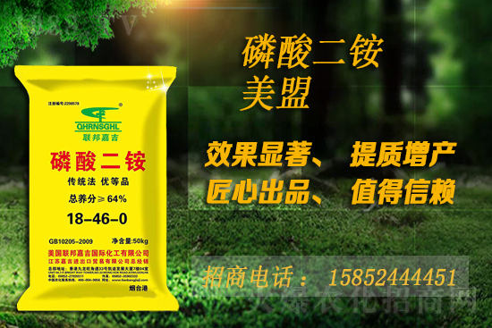 ���@����(w��n)�\�����������@�r���Ј����飨10��28�գ�