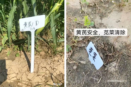 �α�2̖(h��o)¡������������������ɳ��{�˵��S�γ��݄������ݸ��V����ȫ����