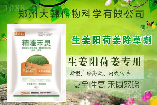 ���(y��ng)�ɽ���ô���������ش�ʲô���݄������(y��ng)�ɽ����ݷ�����ע�����(xi��ng)