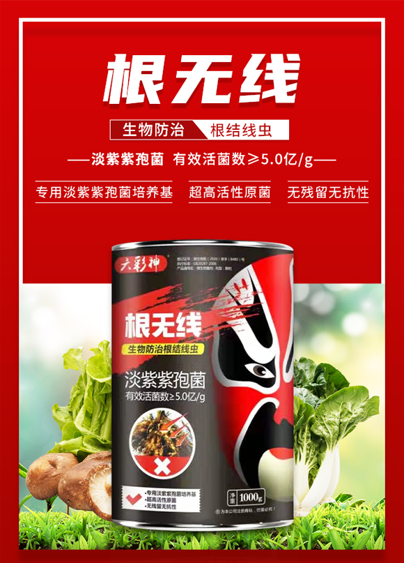 �����f�����ﱣ�o���޹�˾_01