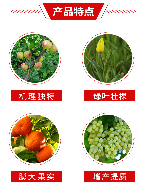 ��M����-��̖�r�I(y��)_03