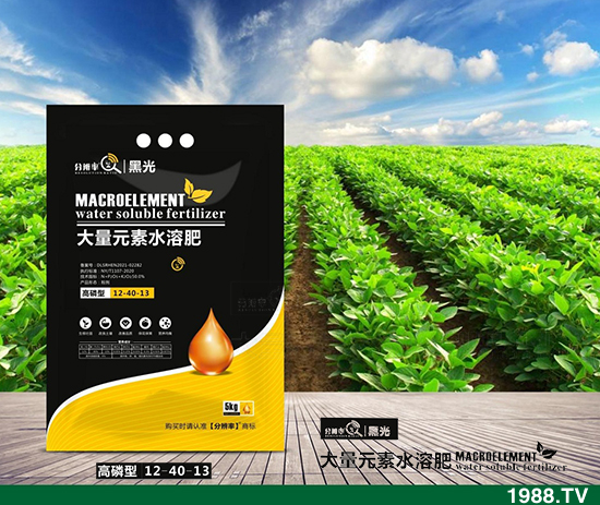 ����(w��n)�\����2021.12.31����������@�r��