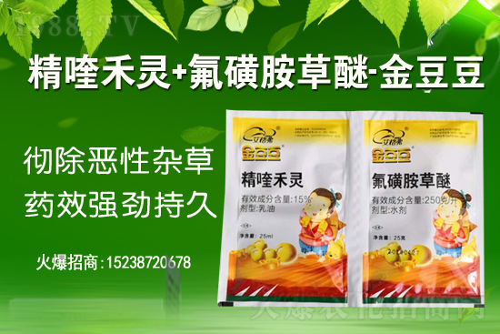 乙草胺除草劑價(jià)格行情2021年2月1日