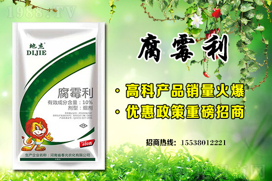 �����������r(ji��)������2021��2��1��