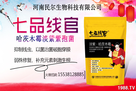 雪桃苗價(jià)格多少錢(qián)一株?雪桃種植前景怎樣?