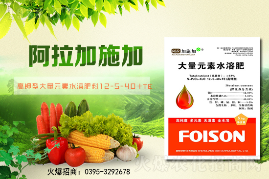 2��6��ȫ��С����r��С���r��ͻ��1.57Ԫ/��