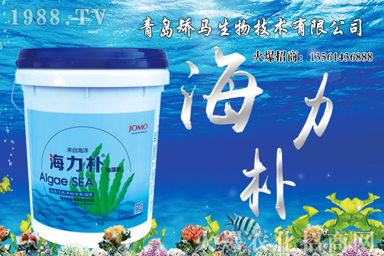 ѩ����r������Xһ�ã�2021��Nֲѩ����ٍ�X����