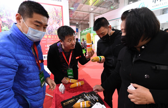 ��28�Ã�(n��i)�ɹ��r(n��ng)����