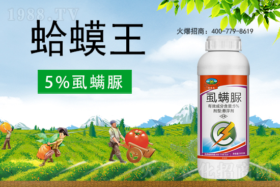 ʭ����������ô�������x(ch��ng)���c(di��n)��ʲô��