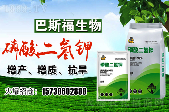 С���r��F(xi��n)�ڶ����Xһ�������������߄������