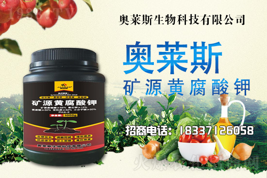 �`֥���a(ch��n)����(ji��)��ʲô�r(sh��)�����`֥���϶�ľ�������༼�g(sh��)��