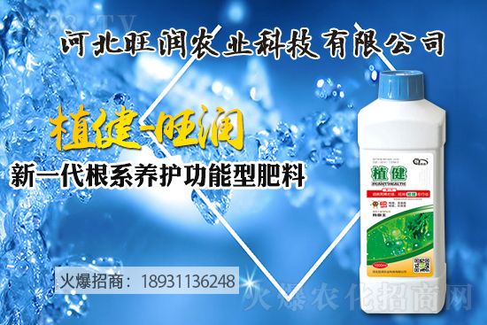 �{(l��n)ݮ������ô�Nֲ���{(l��n)ݮ����ķNֲ���޼����ݼ��g(sh��)��