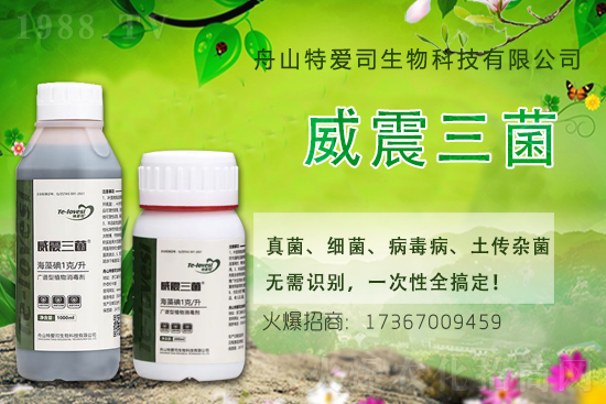 �������r��