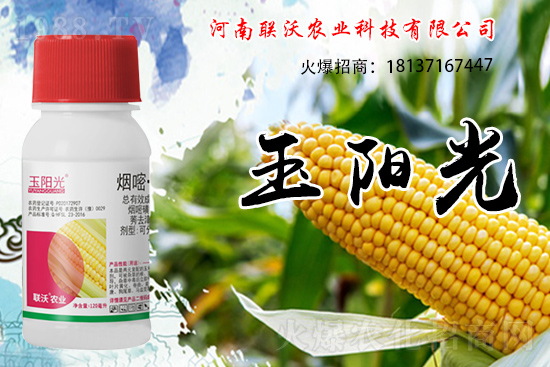 ���׳��ݞ�ʲô�x����������������݄���δ���