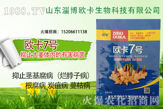 �W�������ٺ�1988.TV������(sh��)�F(xi��n)��I(y��)�v�w��(m��ng)��