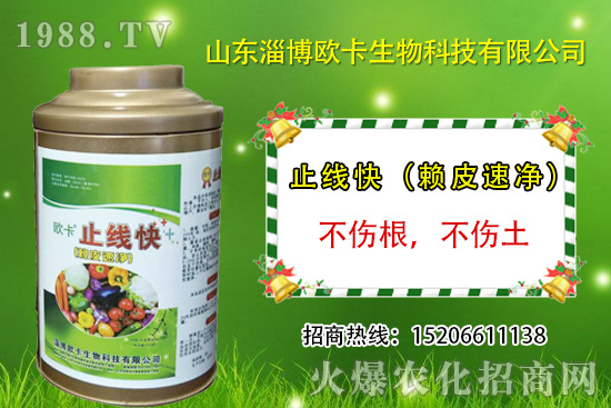 �W�������ٺ�1988.TV������(sh��)�F(xi��n)��I(y��)�v�w��(m��ng)��