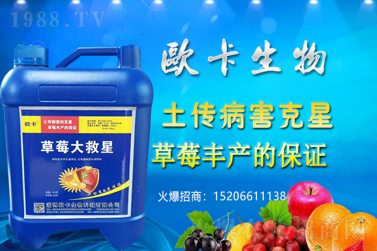 �W�������ٺ�1988.TV������(sh��)�F(xi��n)��I(y��)�v�w��(m��ng)��