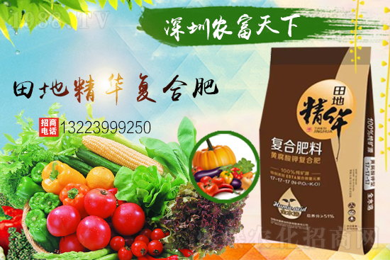 �����������������A���r�������ٺ�1988.TV��(chu��ng)���x�ͣ�