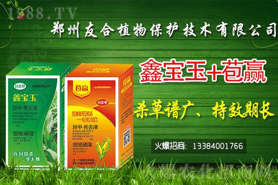 2021��5��8�ջ������݄��r(ji��)���Ӎ