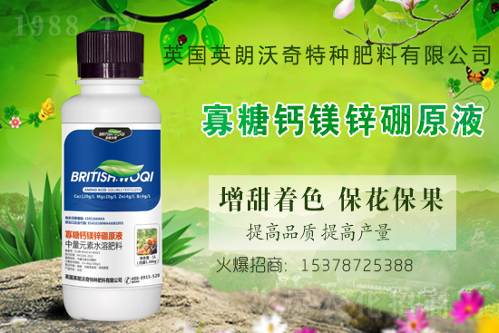 Ӣ������ɹ����s1988.TV���y�ֹ���(chu��ng)��(zh��n)����