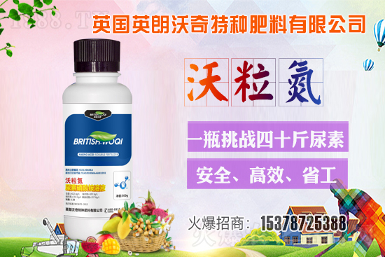 Ӣ������ɹ����s1988.TV���y�ֹ���(chu��ng)��(zh��n)����