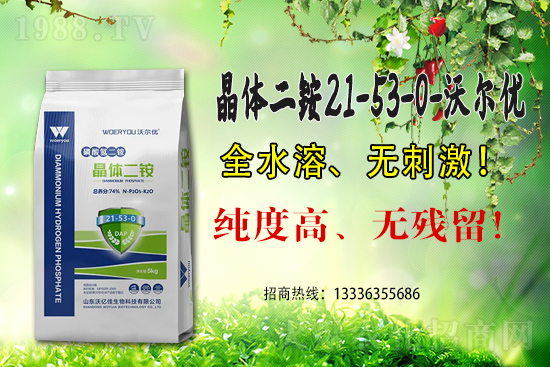 ���@�߃r(ji��)�����ڇ�(gu��)��(n��i)���@�r(ji��)��������?q��ng)?b��o)��6��15��