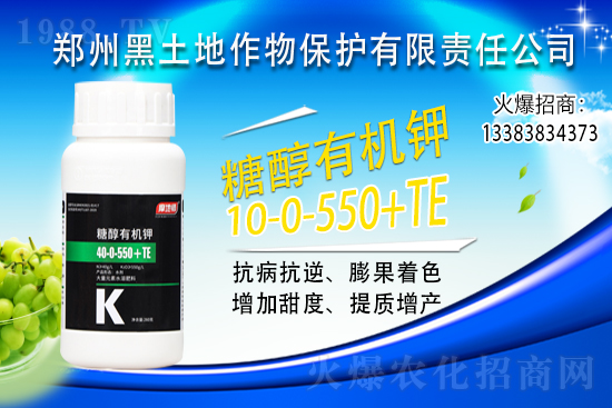 ⛷ʃr(ji��)���j��500Ԫ/����2021��6��15��⛷ʃr(ji��)������