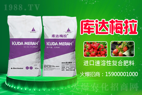 �t���Ǐ�(f��)�Ϸʶ����Xһ����2021.6.16���ʃr(ji��)�������(b��o)�r(ji��)