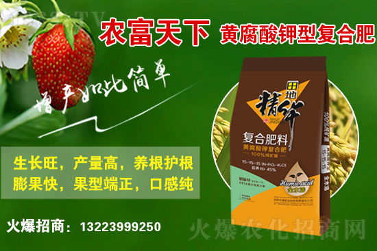 復(fù)合肥市場行情分析,2021年6月25日化肥市場價(jià)格行情