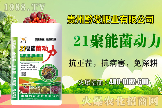 ǭ�l(f��)�ʘI(y��)�ٶȔy��1988.TV���y�ִ����������E��