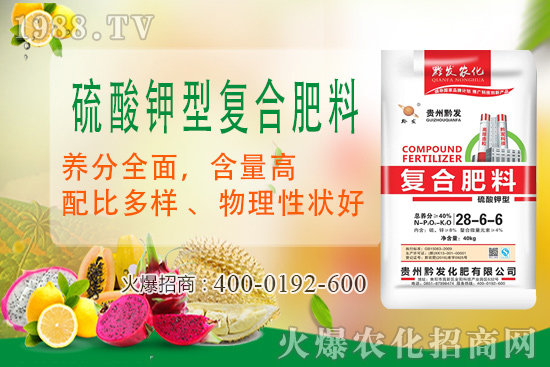 ǭ�l(f��)�ʘI(y��)�ٶȔy��1988.TV���y�ִ����������E��