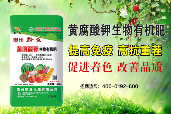 ǭ�l(f��)�ʘI(y��)�ٶȔy��1988.TV���y�ִ����������E��