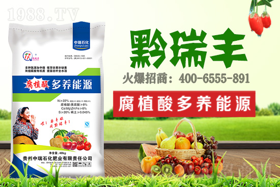     ����ʯ���ʘI(y��)�𱬁��u���ٺ����r(n��ng)�����̾W(w��ng)���_��(chu��ng)���x�ͣ�