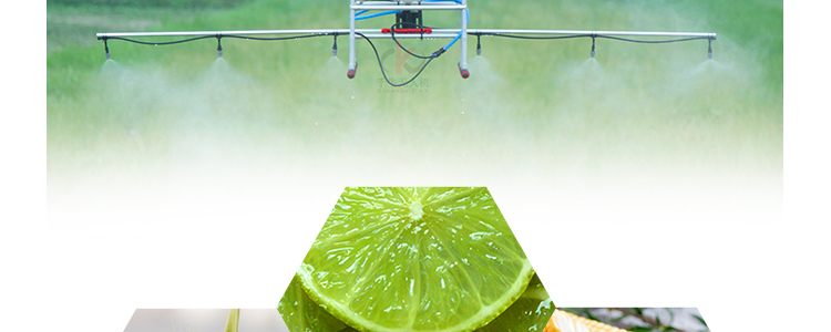 �w������_16