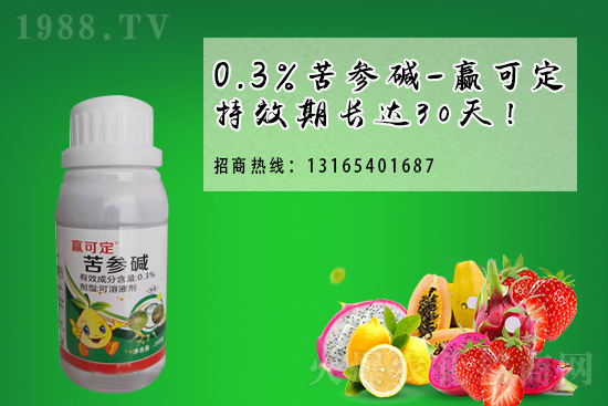 ���x(ch��ng)���r(ji��)��