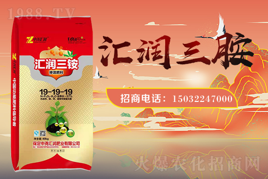 �r(n��ng)���W(w��ng)ϲӭ���������Ј�R��(r��n)���s1988.TV�y�ִ����������E��