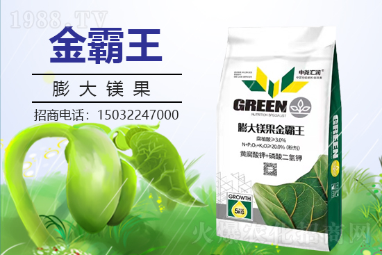 �r(n��ng)���W(w��ng)ϲӭ���������Ј�R��(r��n)���s1988.TV�y�ִ����������E��