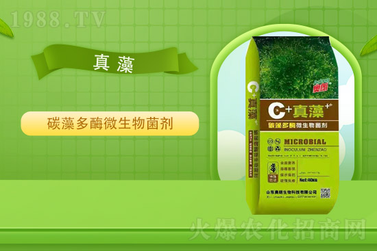 2021年8月19日甘蔗除草劑價(jià)格早報(bào)