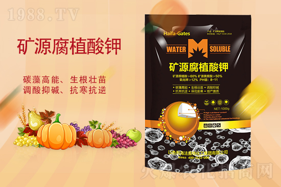 �Ȼ���ٝq100Ԫ��2021��9��18��⛷ʃr������