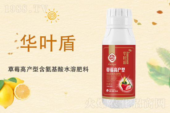 ���؃r���q��2021��9��18�����؃r�������߄�