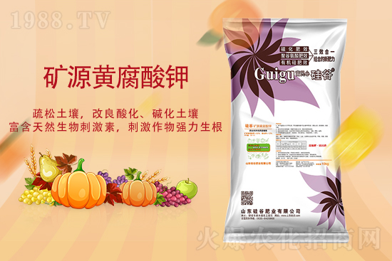 2021年9月22日復(fù)合肥價格行情走勢