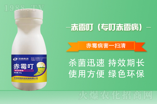 ���������������B�p�ͿƼ��ٺ�1988.TV������(chu��ng)���x����