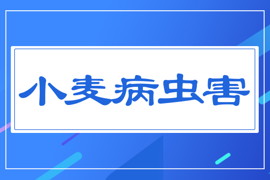 С�����x(ch��ng)��