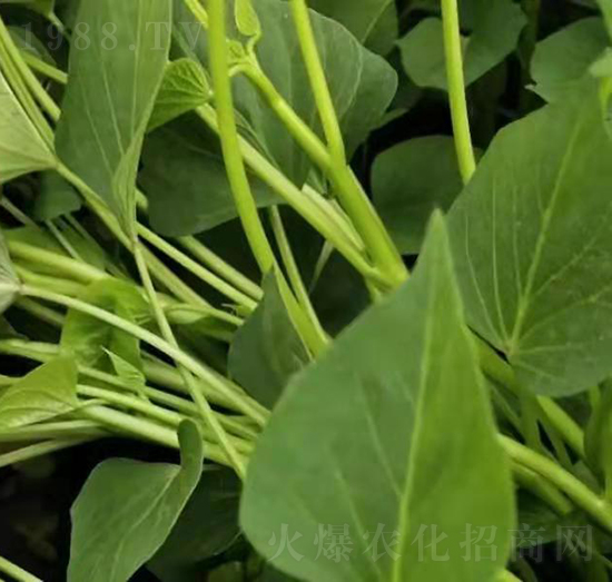 �ع������5