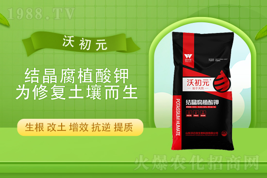 2022��2��24�Շ�(gu��)��(n��i)���؃r(ji��)������һ�[