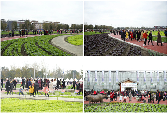 重磅!第七屆成都種業(yè)博覽會(huì)定檔11月18日