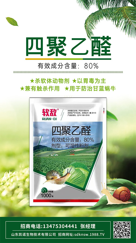 防治蔬菜蝸牛,四聚乙醛這樣使用,殺蟲效果沒得說!