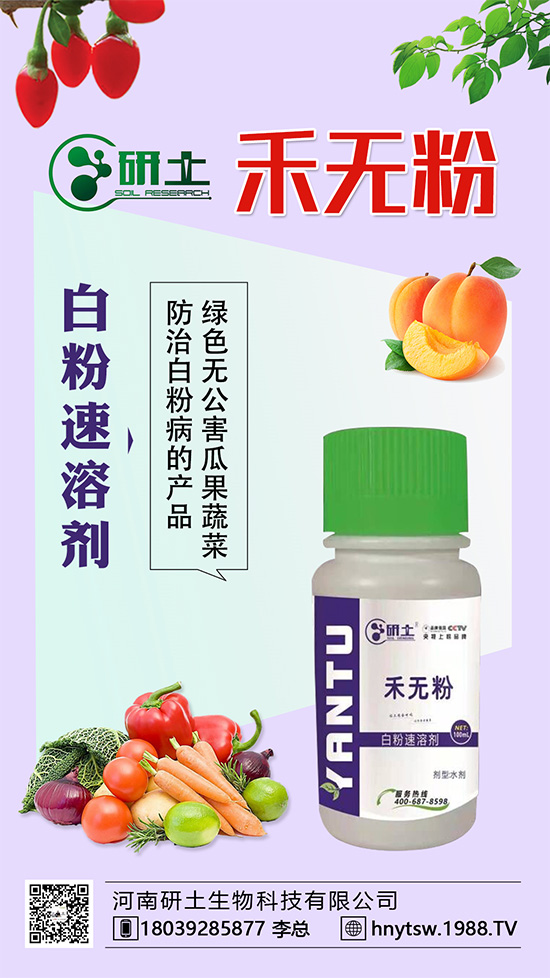 ���Ѱ׷۲��������l(f��)���������ֱ�׷۲���