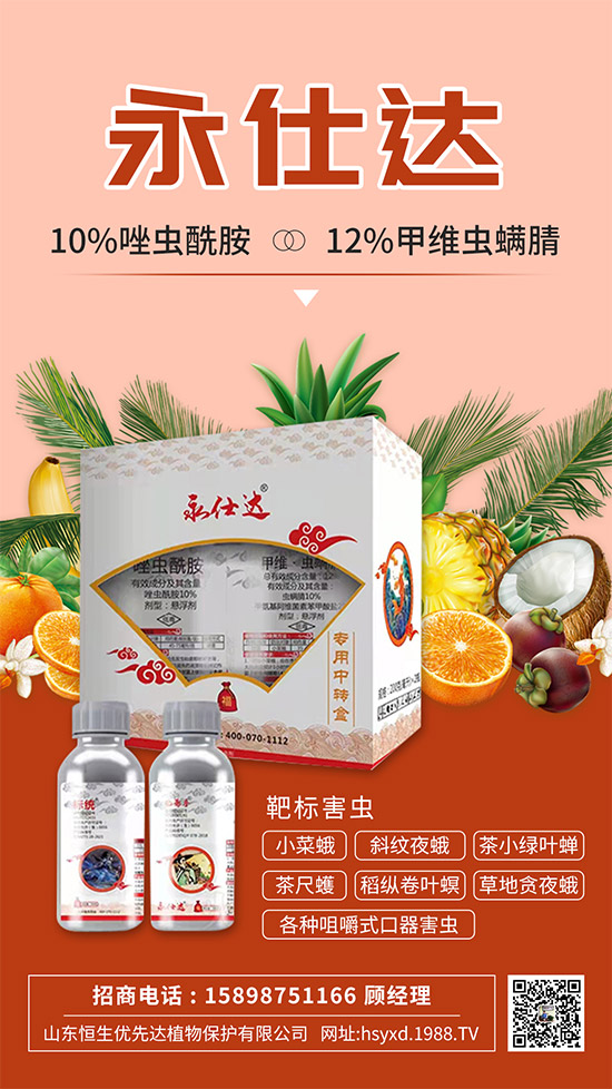 С�˶��η����y��С�˶�Σ���Y����δ�ʩ��